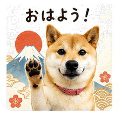 Japanese Style Hana Stickers