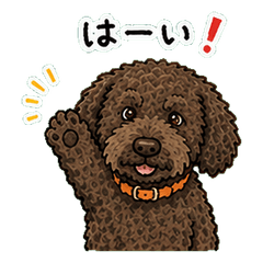 Hauru the Fluffy Dog Stickers