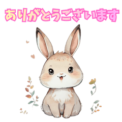 Cute Animal Stickers517