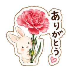 kozue_20260509203646