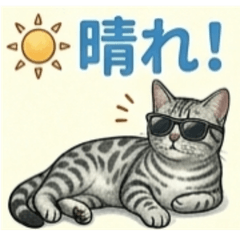 Cats - Felis catus - 4