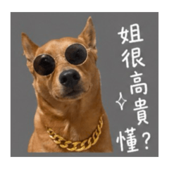 Bubu (bu可以bu買哦！)