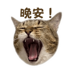 火包火包