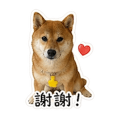 牛 牛～