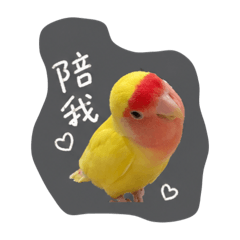 阿宏宏宏宏