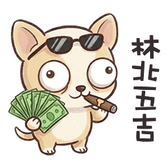 ∪•ᴥ•∪ 吉娃娃林北五吉