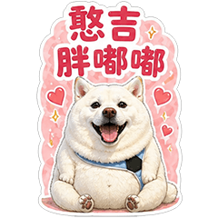 憨吉胖嘟嘟(吃貨篇)