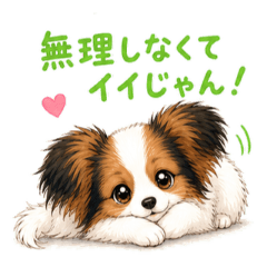 That's great! Mugi the Papillon