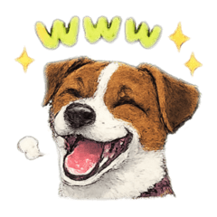 myjrt_20260509111007