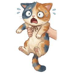 Calico Cat: All-Occasion Blank