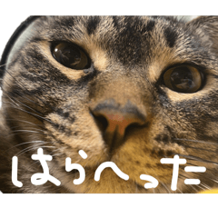 Yuka_20260509111648