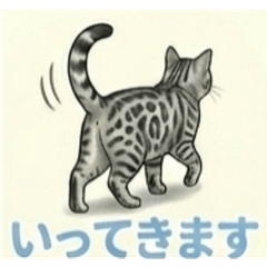 Cats - Felis catus - 2