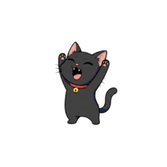 Black Cat Everyday Use Set - with Text