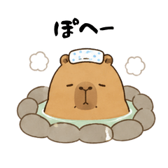 Popota's Cozy Days