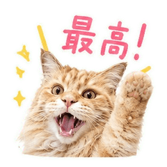 Heizo-kun