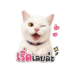 CCATY_20260428161822