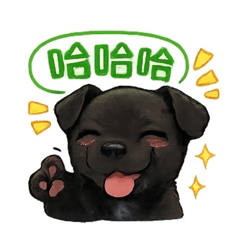 小黑中的小黑1