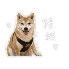 壞狗日常問候