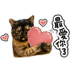 黑咖貼圖（生活用語篇）