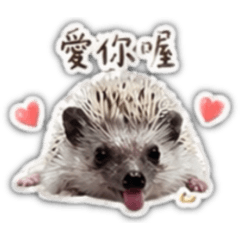 麻油雞寶寶1