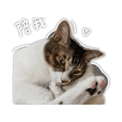 妹妹/•᷅‎‎•᷄୭