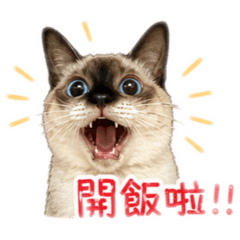 吳家喵仔貢丸爹斯