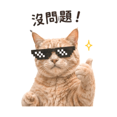 傲嬌波波2
