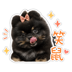 毛小孩日常用語版