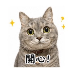灰醬1