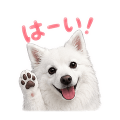 yukimaru_20260509112844
