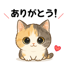 Totoro_20260509112828
