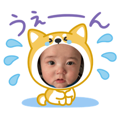 yamame_20260509113508