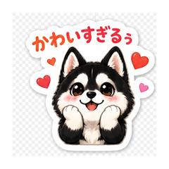 akira.k_20260509113734