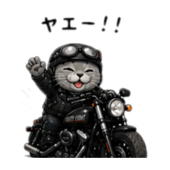 BURI_20260509114308