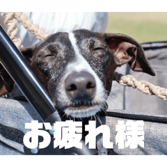 imoimo_20260509114717