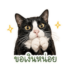 Jjaae17_20260509215801