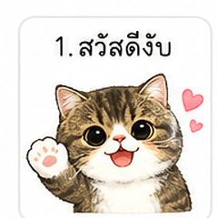 Cute Cat Daily Uses