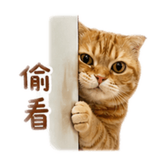 我是高翠花