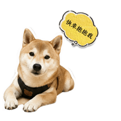壞狗雷蒙厭世系列2.0