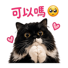 Oreo奧利歐1