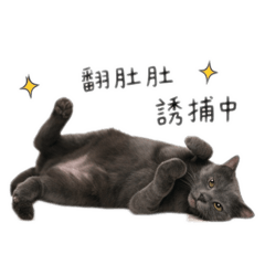 小摟的心聲