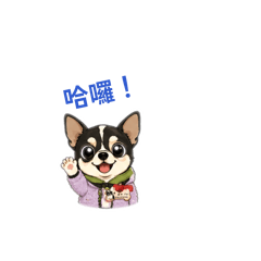 沙發上愛睡的妞