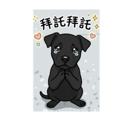 小黑中的小黑3
