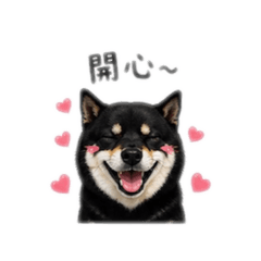 ㄚ勒  一代