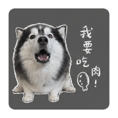 歐米寶貝