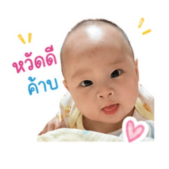 Kanin_20260428161715