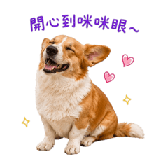 仔仔的開心到咪咪眼
