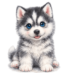 Siberian husky child