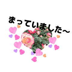 miyu_20260509115537