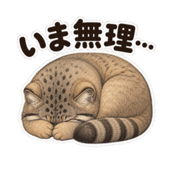 U-tan_20260509115614